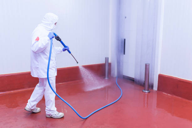 Best Soft Washing  in Cherryville, PA