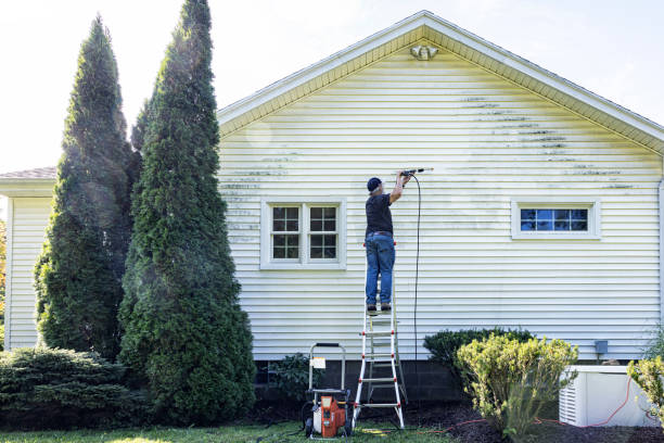 Best Graffiti Removal  in Cherryville, PA